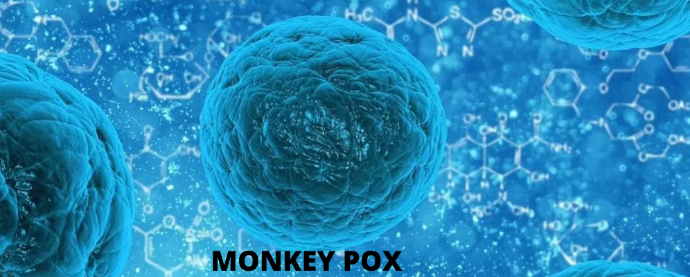 What is monkeypox? How do you catch it?
